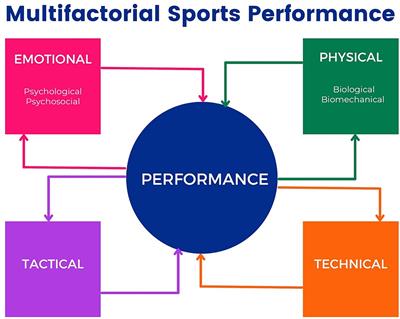 Jumping with control: the interplay between psychological constructs and run-up variability in elite jumpers